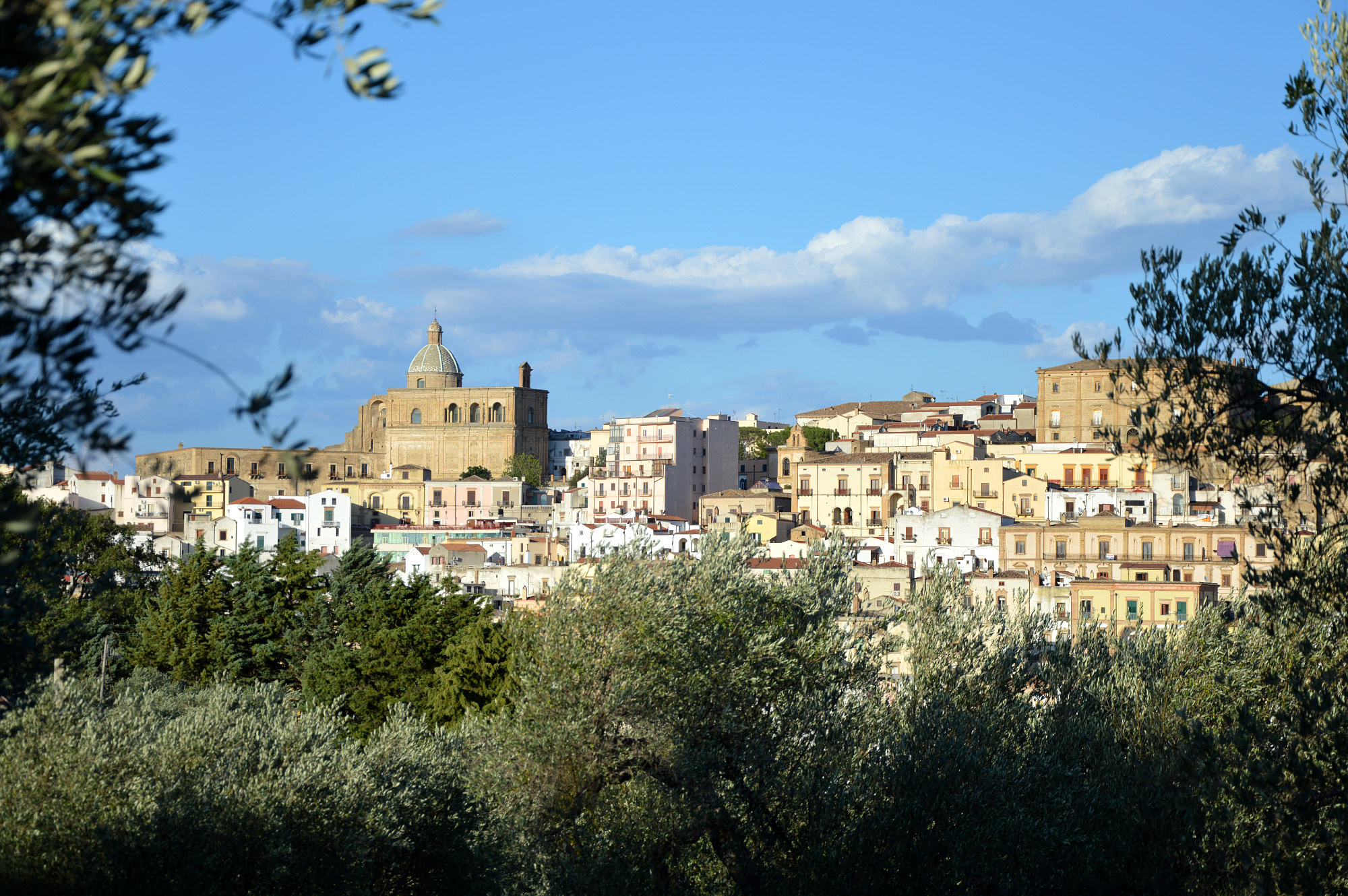 Ferrandina